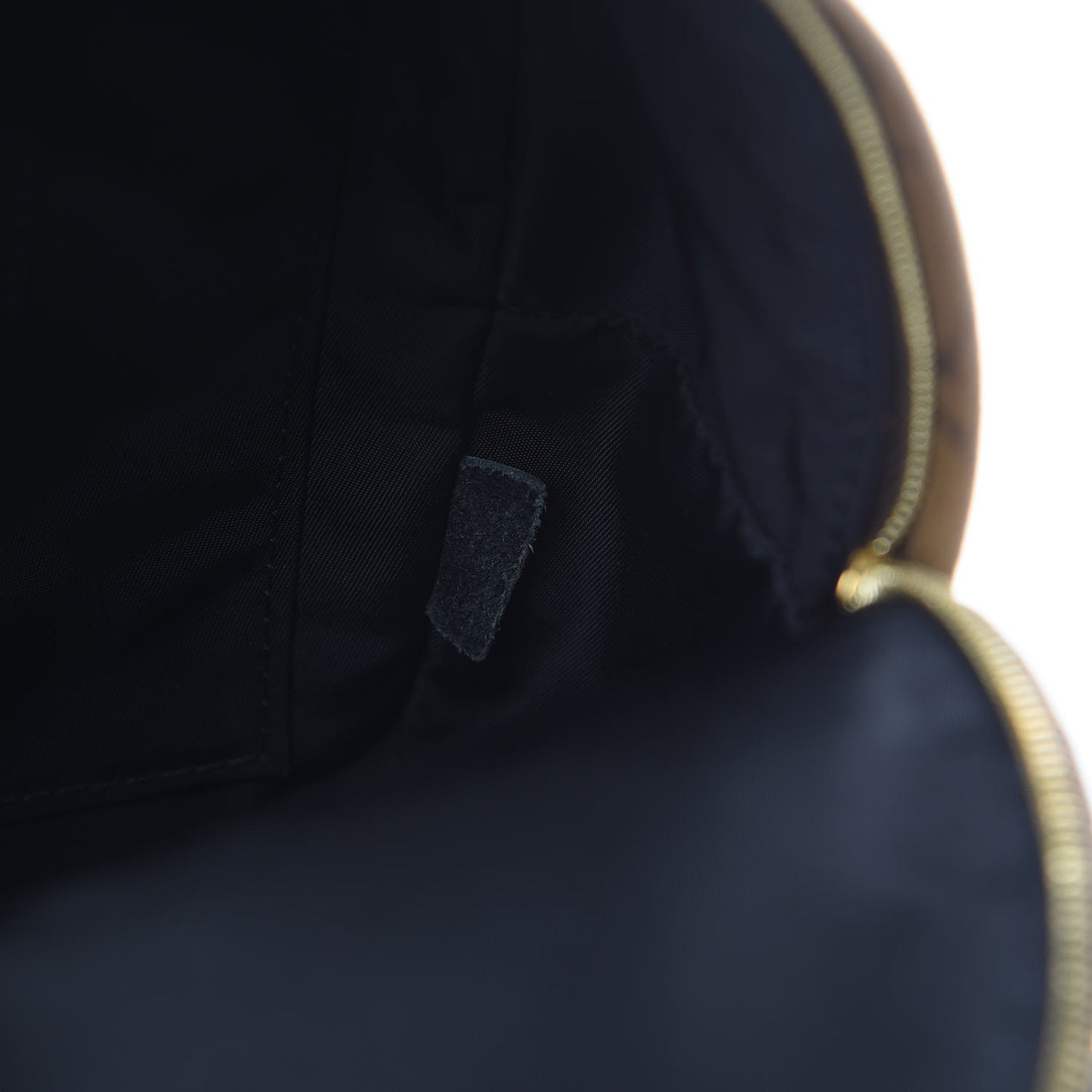 Reverse Monogram Palm Springs Backpack Mini
