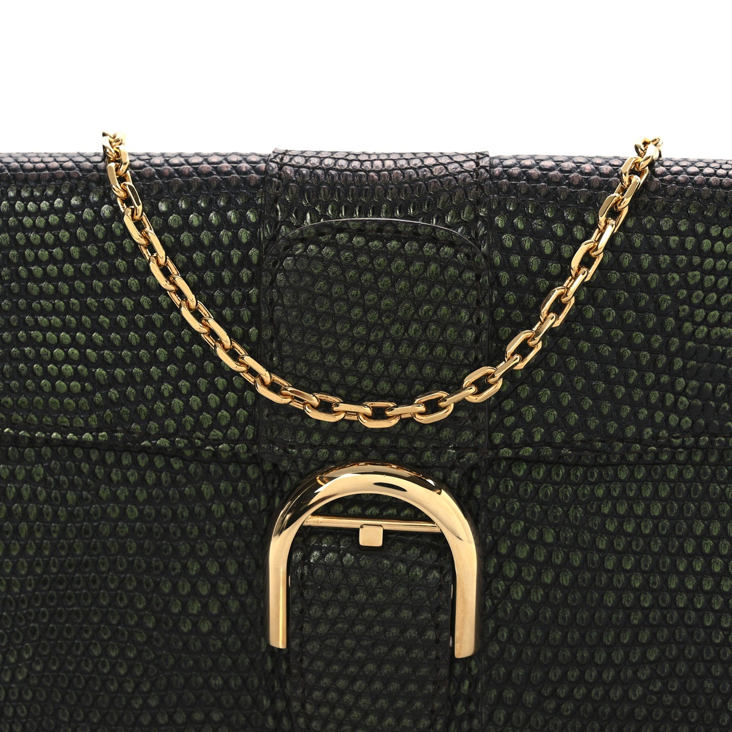 Iridescent Lizard Calfskin Brillant Wallet On Chain Ebene Kaki