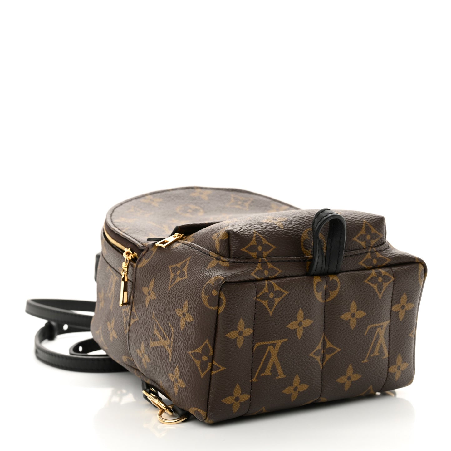 Monogram Palm Springs Backpack Mini