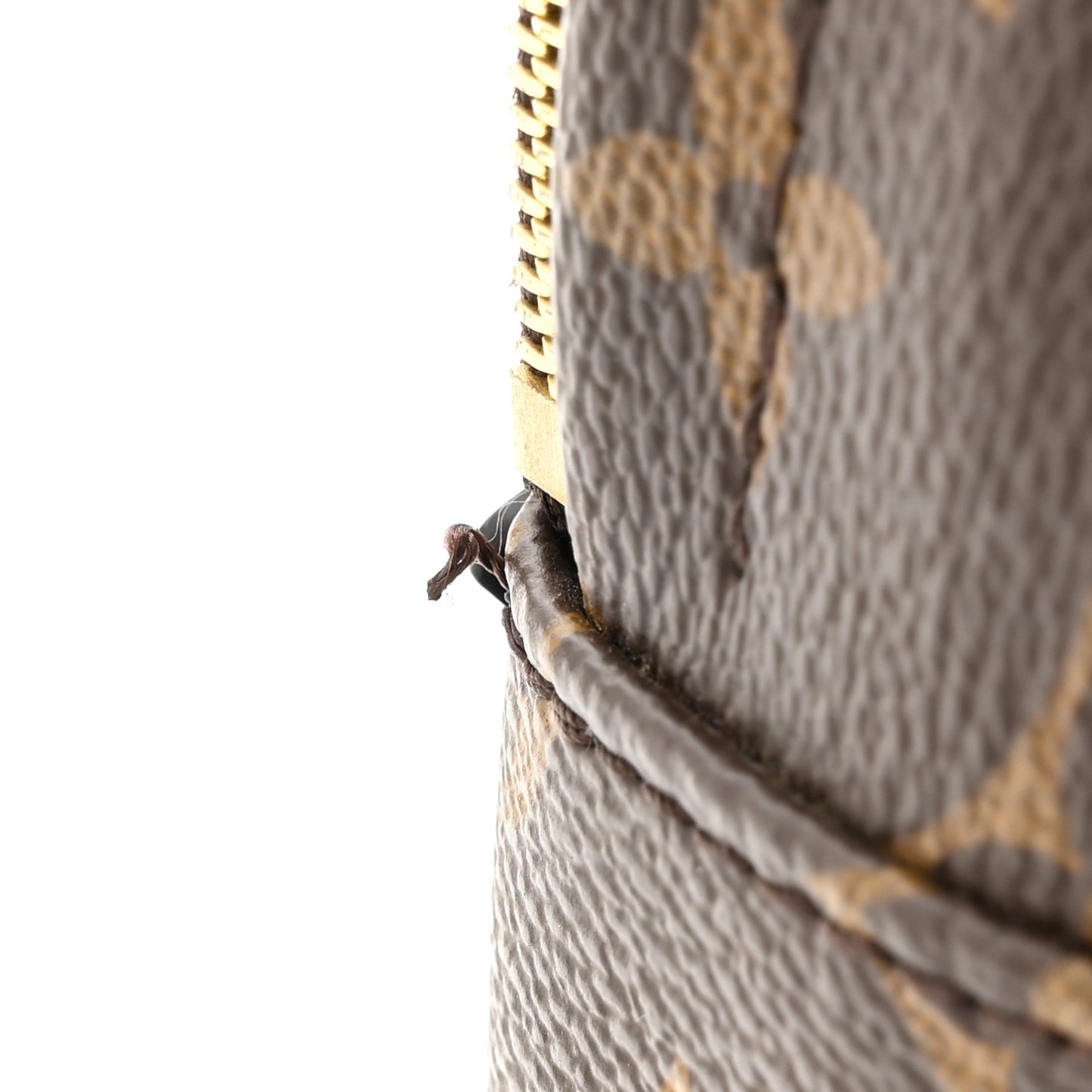 Monogram Palm Springs Backpack Mini