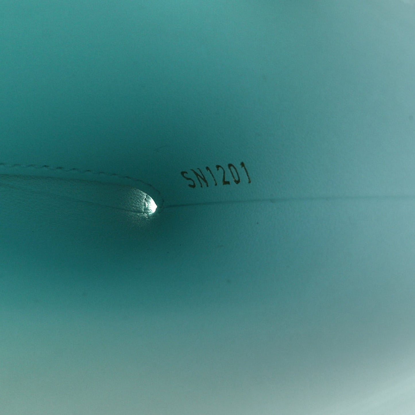 Monogram Giant By The Pool Medium Kirigami Pochette Insert Blue