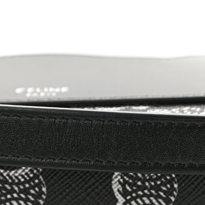 Celine Triomphe Canvas Horizontal Pouch Silver Black 13 of 14