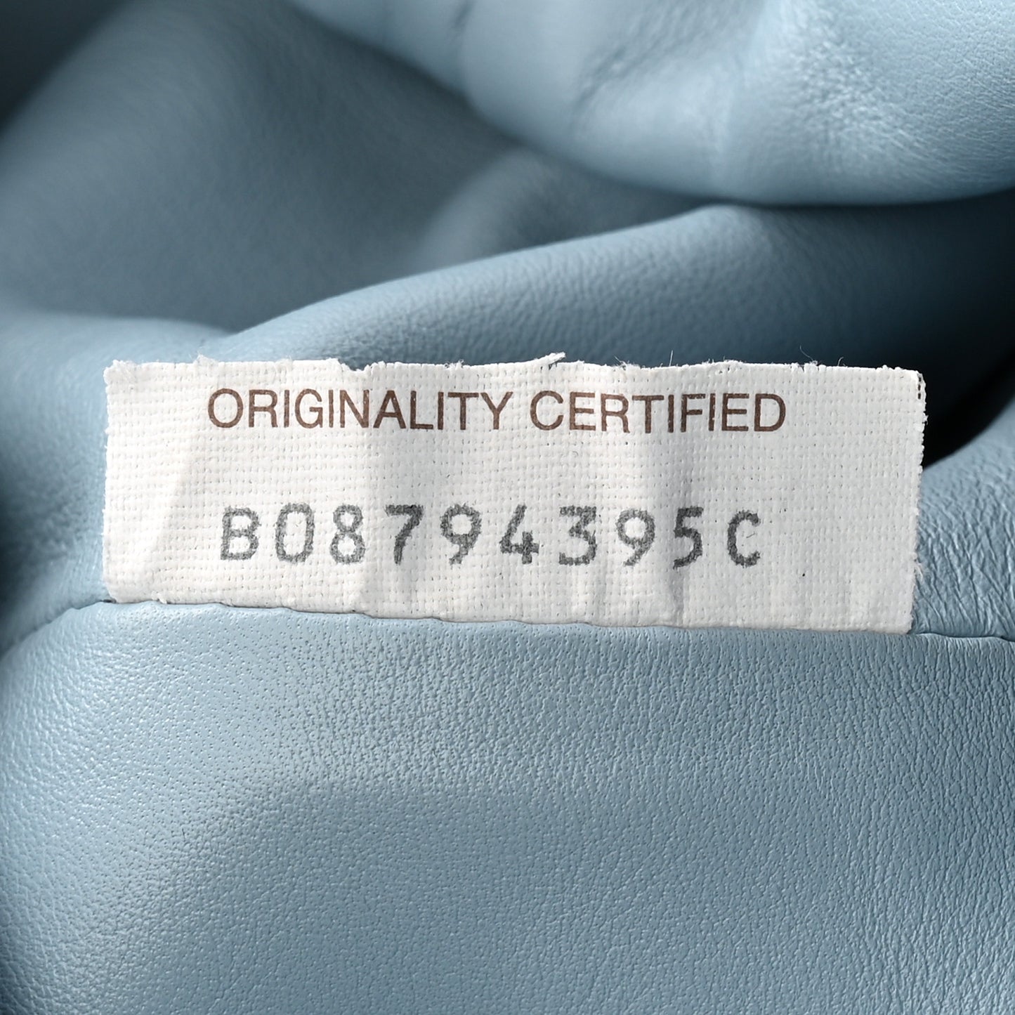 Smooth Butter Calf The Pouch Oversized Clutch Ice