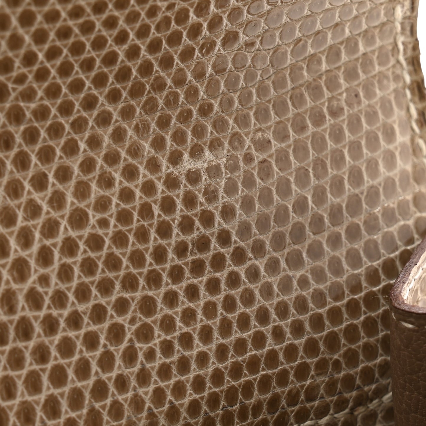 Lizard Niloticus Kelly Sellier 25 Ficelle