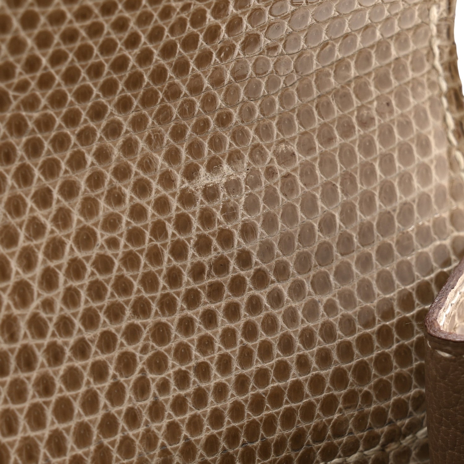 Hermes Lizard Niloticus Kelly Sellier 25 Ficelle 11 of 14