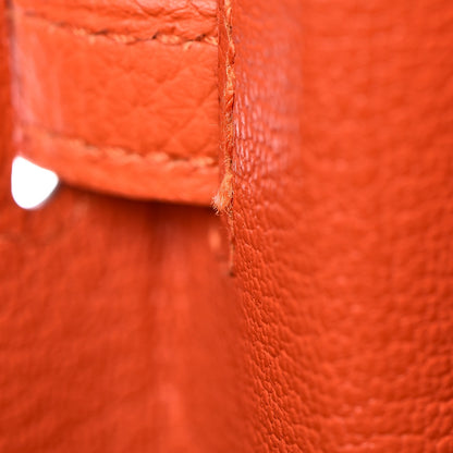 Hermes Togo Birkin 25 Feu 32 of 33