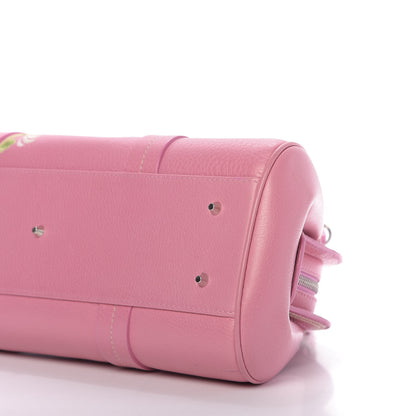 Christian Dior Grained Calfskin Romantic Flowers Frame Satchel Pink 7 of 13