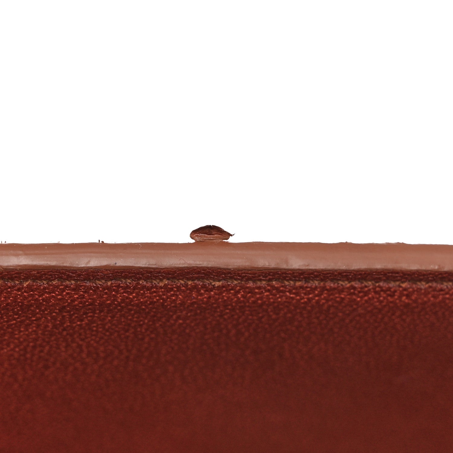 Celine Snakeskin Medium Phantom Luggage Chestnut 10 of 13
