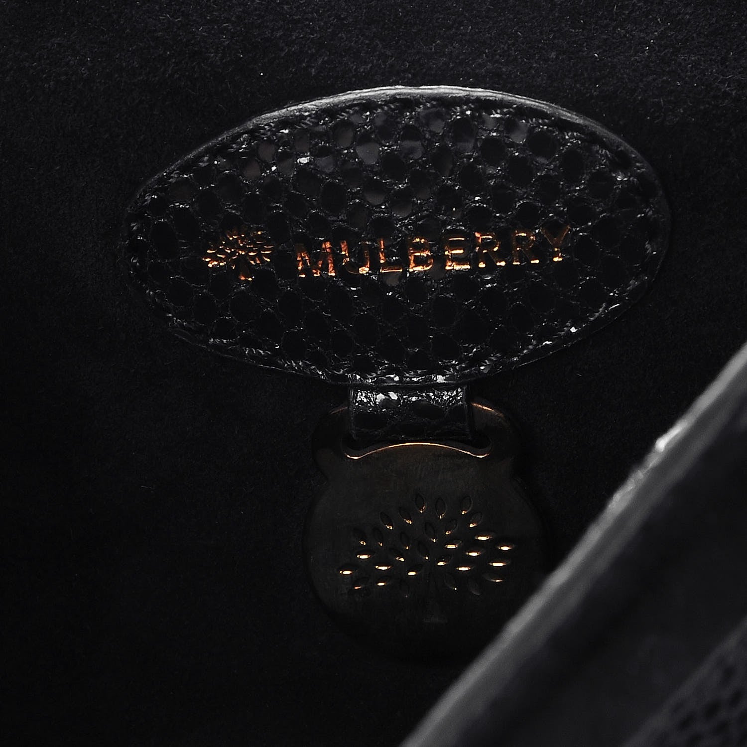 Mulberry Suede Lizard Print Patchwork Medium Alexa Black 6 of 7