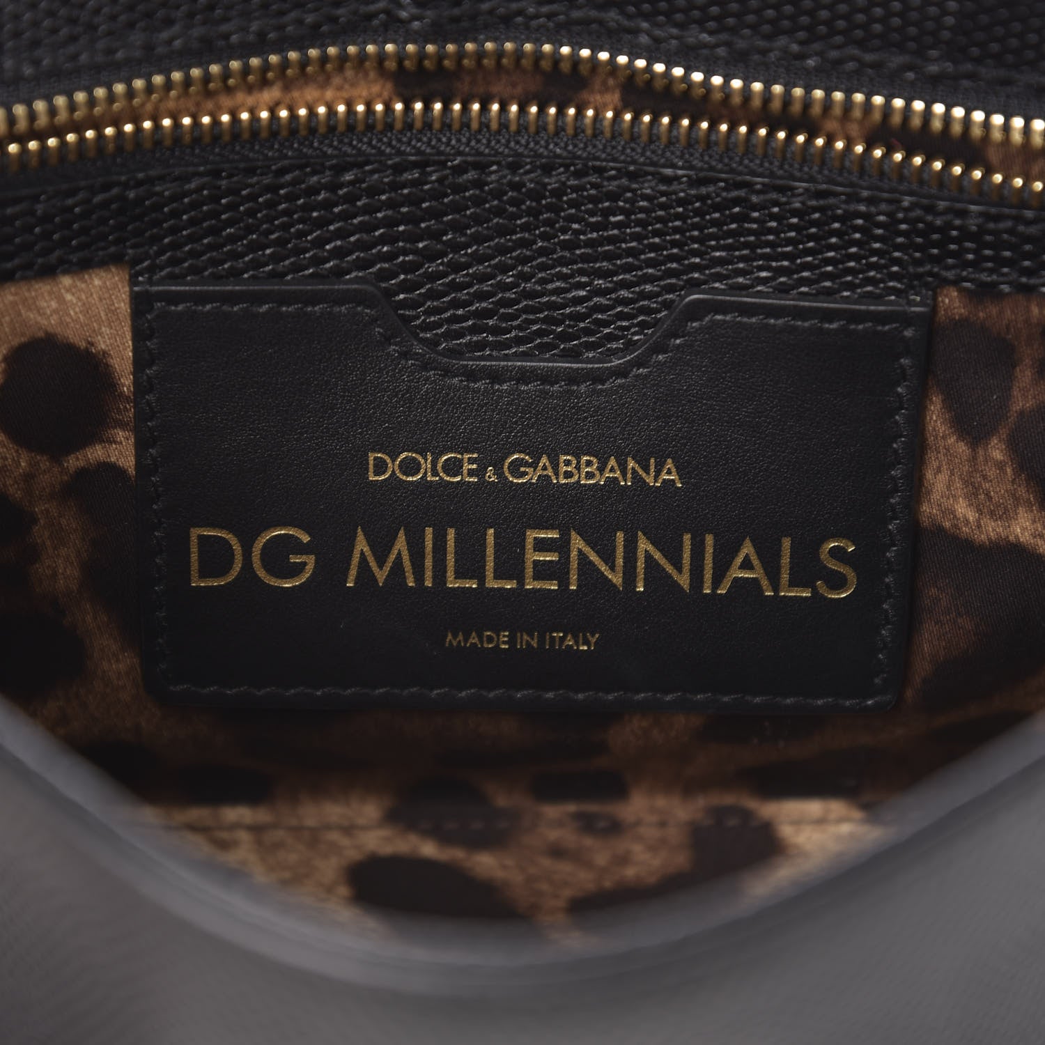 Dolce & Gabbana Stampa Iguana Calfskin Crystal Millennials Chain Shoulder Bag Black 5 of 9