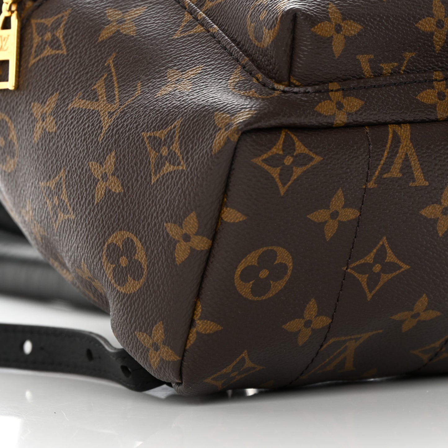 Monogram Palm Springs Backpack PM