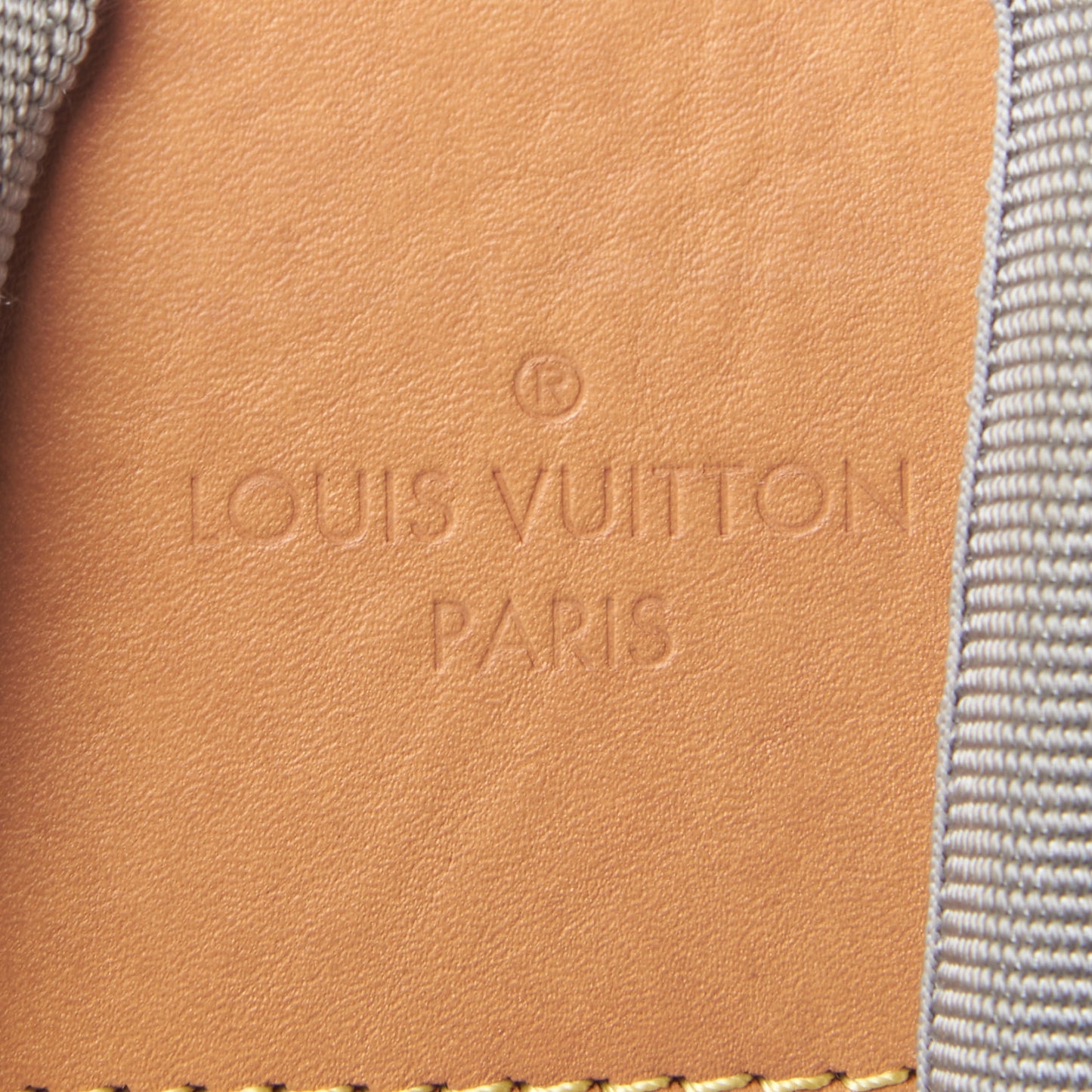 Monogram Titanium Backpack PM