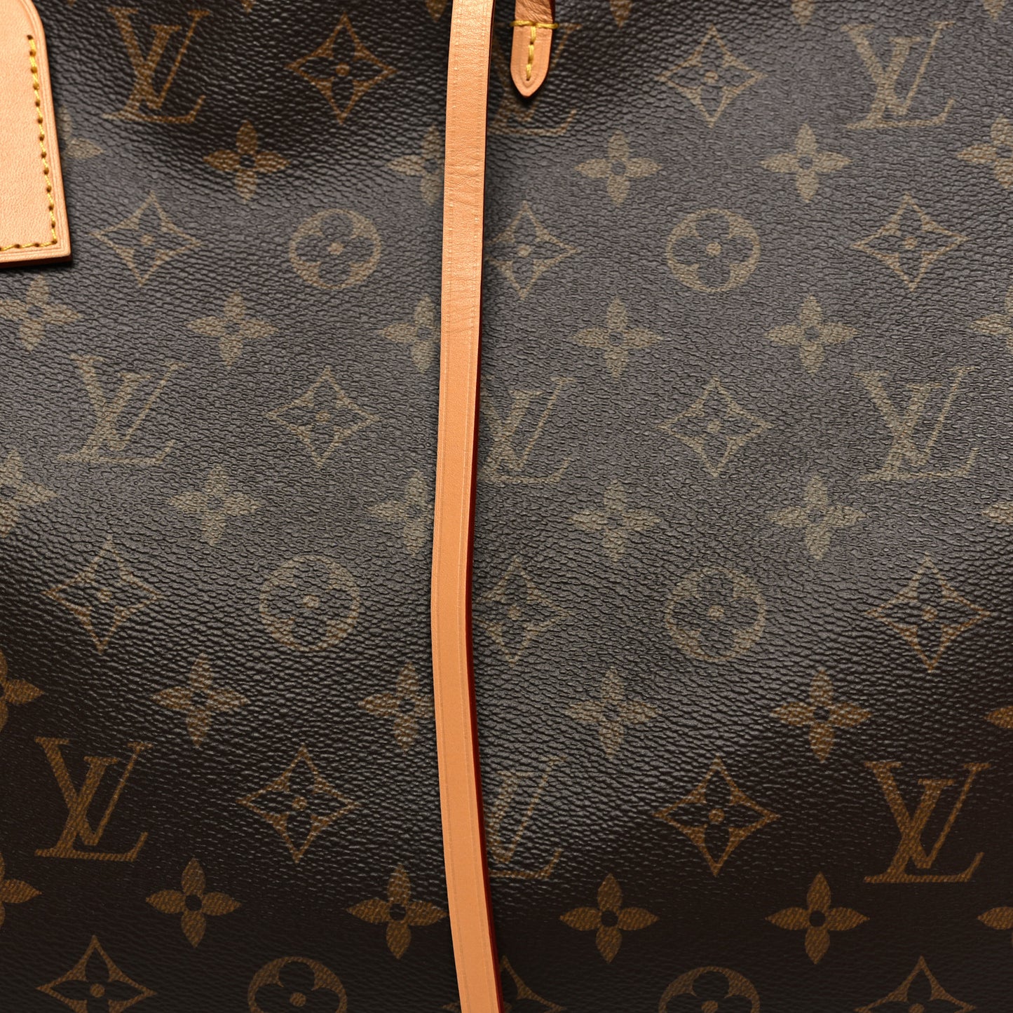 Monogram CarryAll MM