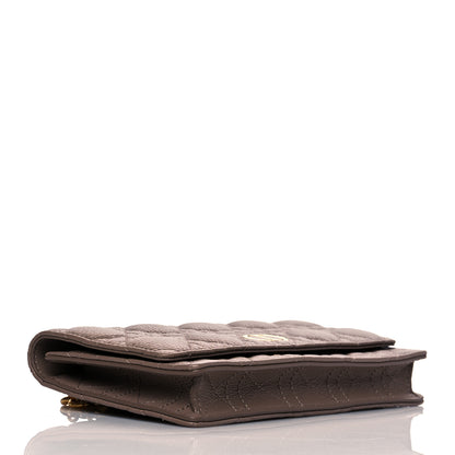 Christian Dior Caro Belt Bag Warm Taupe 3 of 10