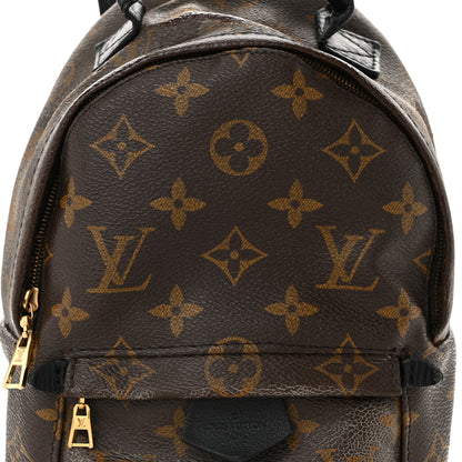 Louis Vuitton Monogram Palm Springs Backpack Mini 9 of 12