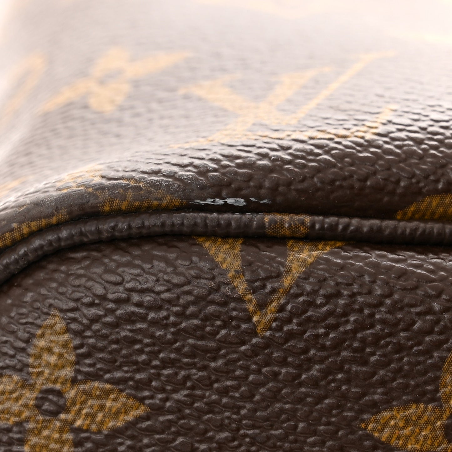 Monogram MOCA Neverfull MM