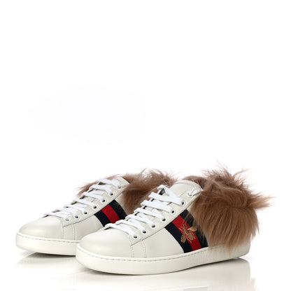 Gucci Calfskin Wool Web Bee Embroidered Womens Ace Sneakers 36.5 White 3 of 12