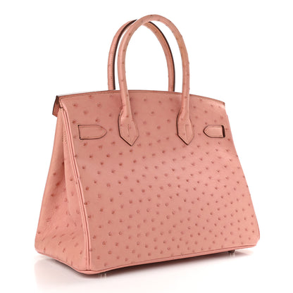 Hermes Ostrich Birkin 30 Terre Cuite 3 of 9