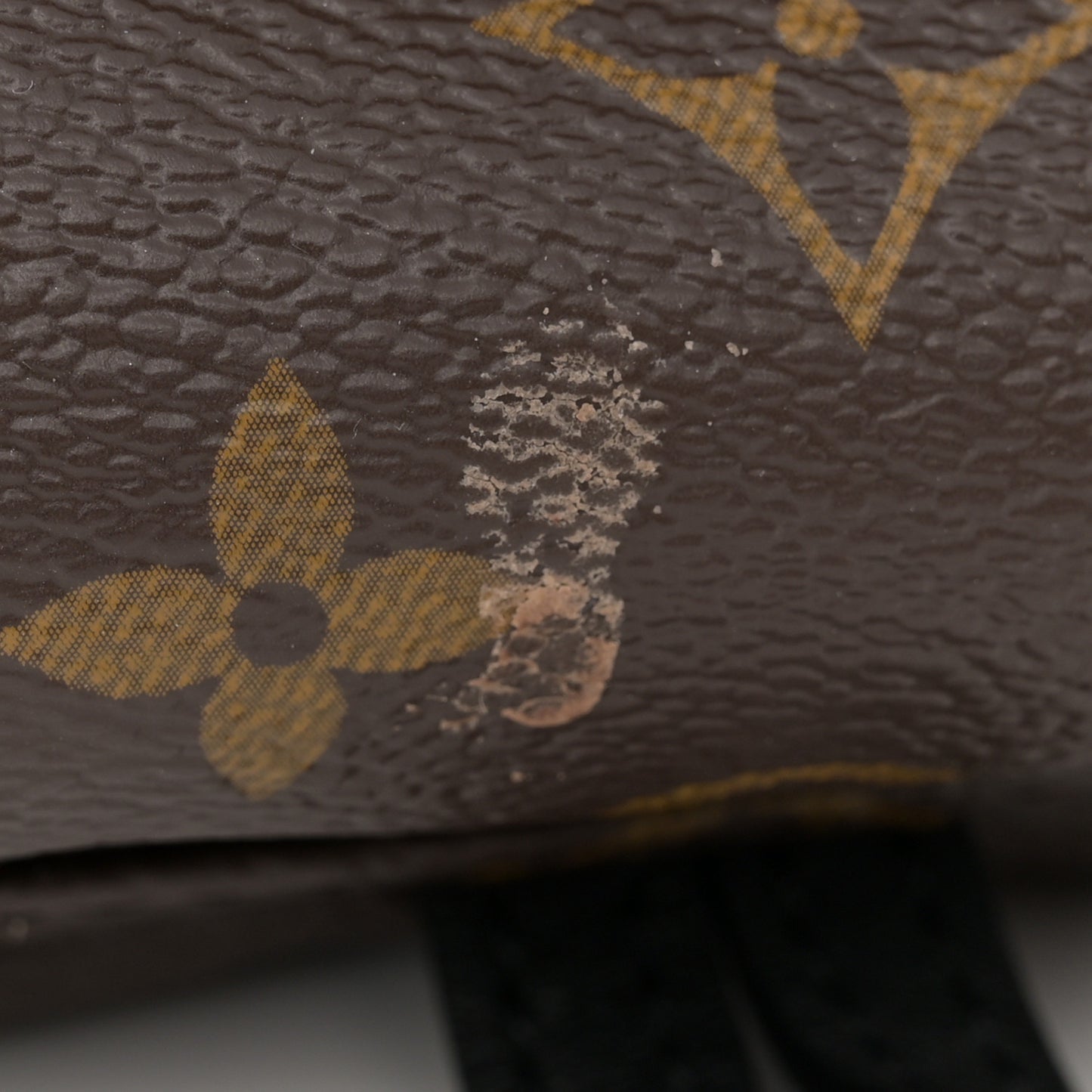 Monogram Palm Springs Backpack Mini