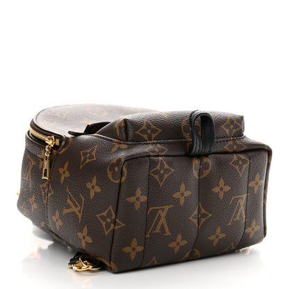Louis Vuitton Monogram Palm Springs Backpack Mini 4 of 17