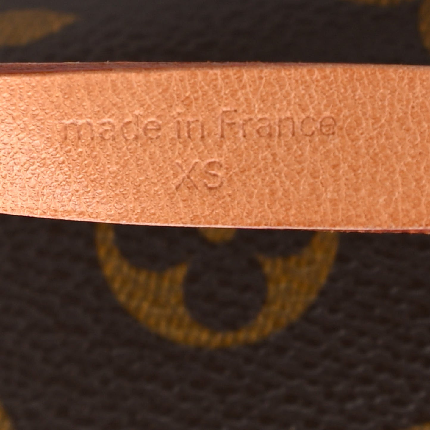 Monogram Pochette Florentine XS