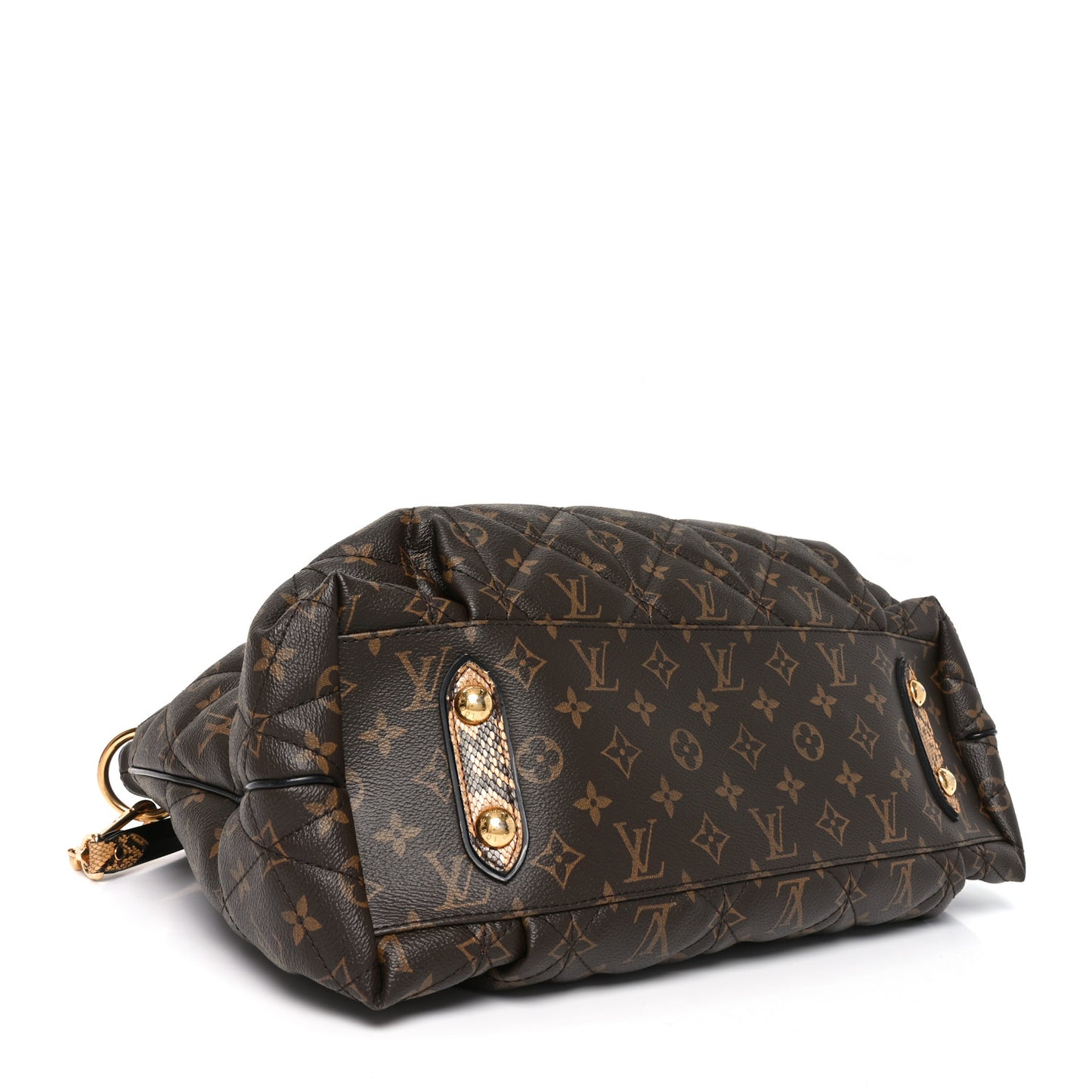 Monogram Etoile Exotique MM