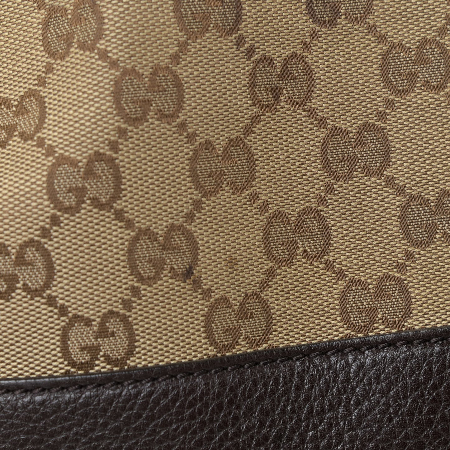 Monogram Medium Diana Bamboo Shoulder Bag Dark Brown