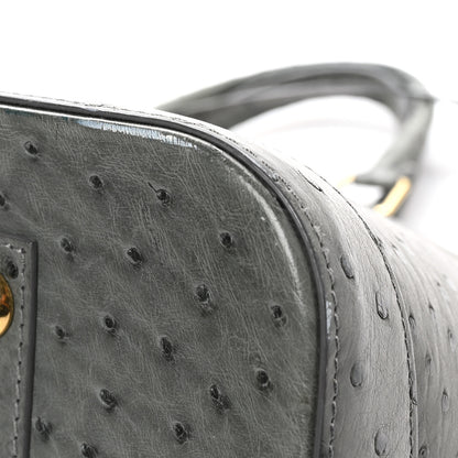 Louis Vuitton Ostrich Alma MM Gris 10 of 10