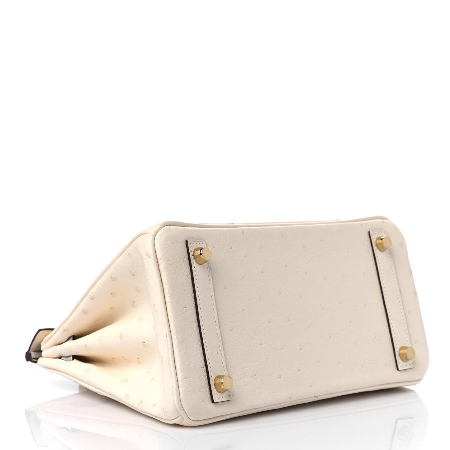Ostrich Birkin 25 Nata