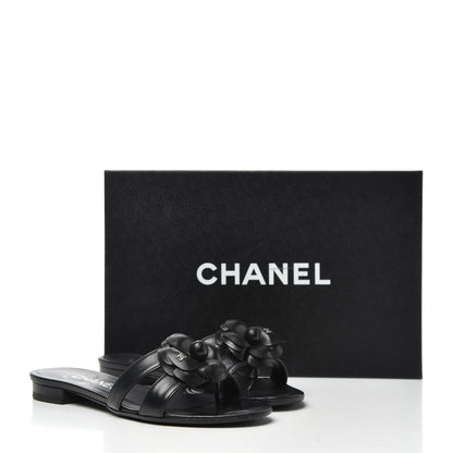 Chanel Lambskin Camellia Sandal Mules 35 Black 14 of 14