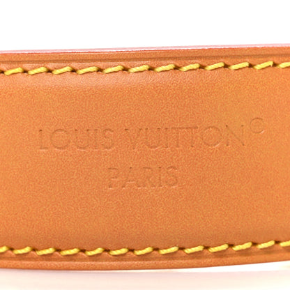 Louis Vuitton Vachetta Archive Nil NM Strap 2 of 3