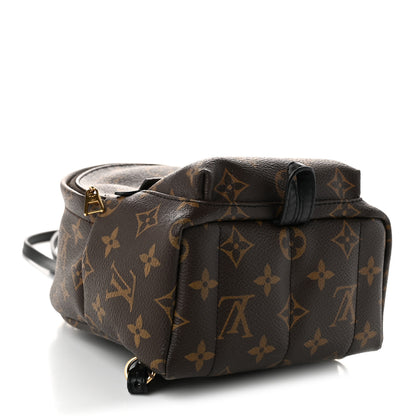 Louis Vuitton Monogram Palm Springs Backpack Mini 3 of 9