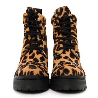 Miu Miu Cavallino Calf Hair Leopard Lace Up Boots 37.5 Miele 3 of 10