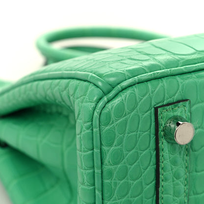 Hermes Matte Alligator Birkin 25 Vert Comics 11 of 13