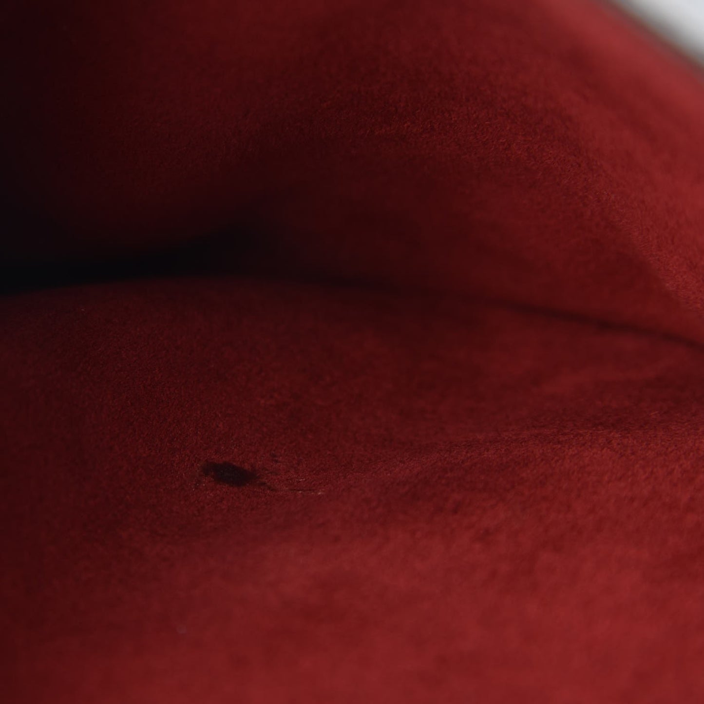 Monogram Eden PM Rouge