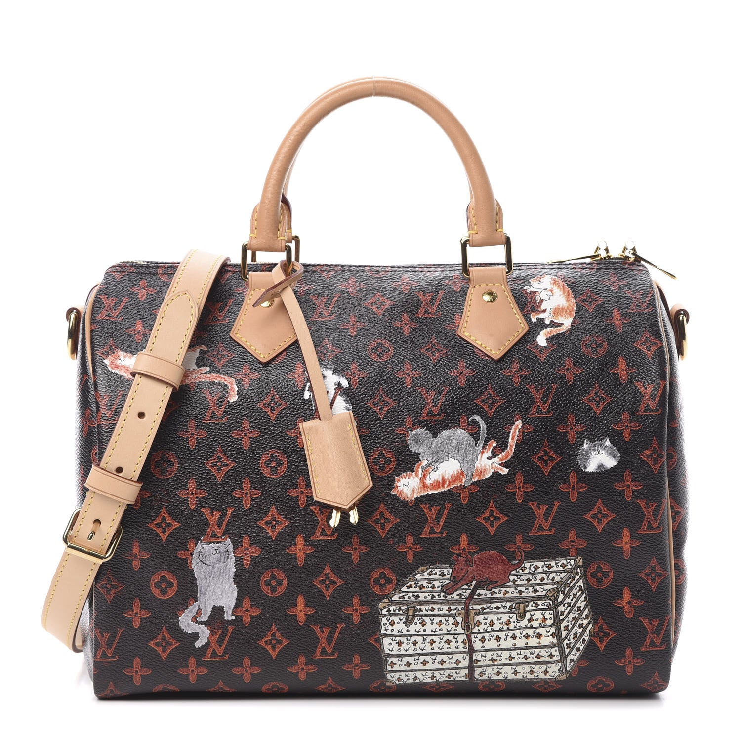 Louis Vuitton Catogram Speedy Bandouliere 30 Marron 1 of 12