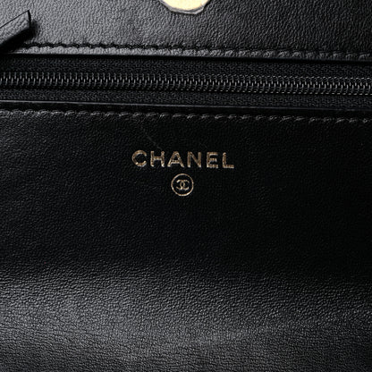 Chanel Lambskin Quilted Chanel 19 Wallet On Chain WOC Black 6 of 16