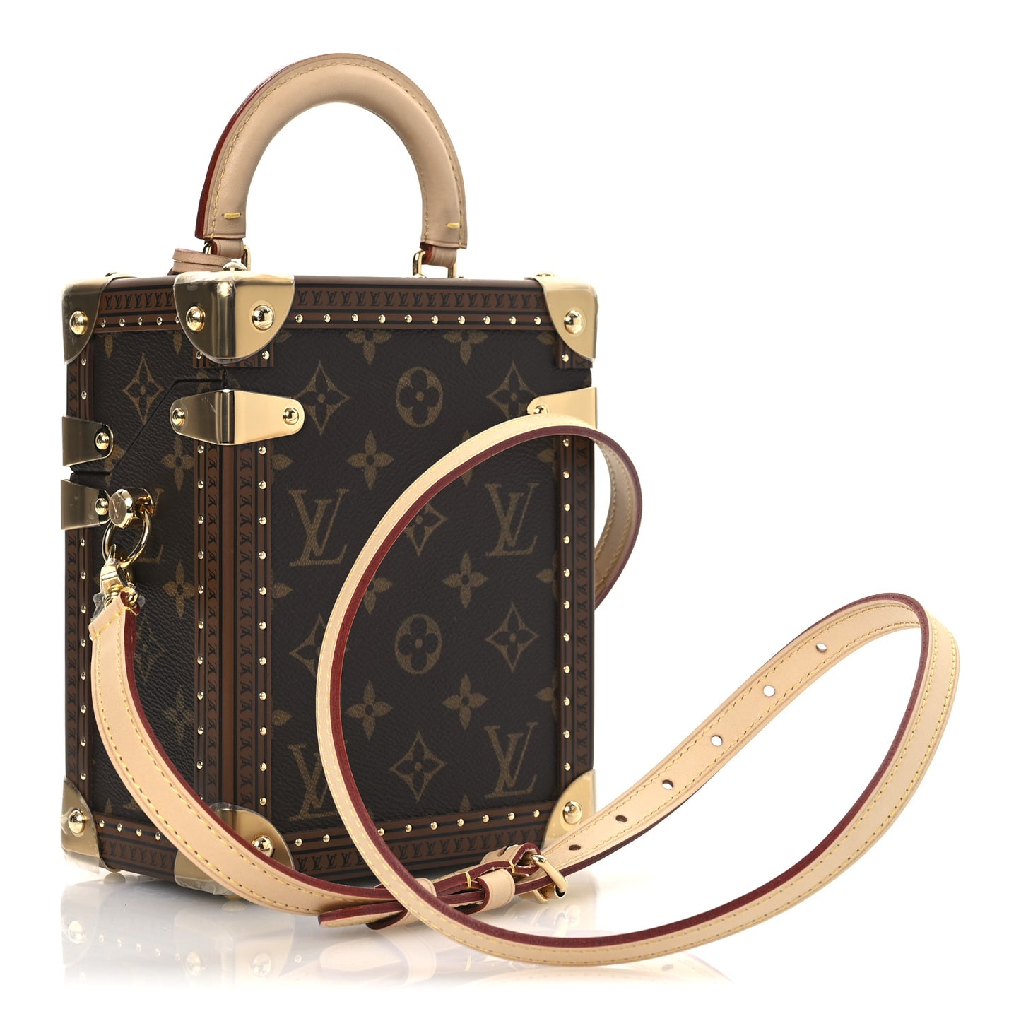 Monogram Vivienne Camera Box
