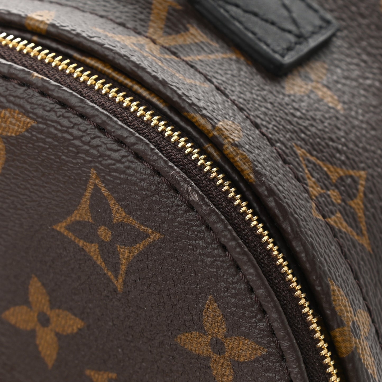 Monogram Palm Springs Backpack Mini