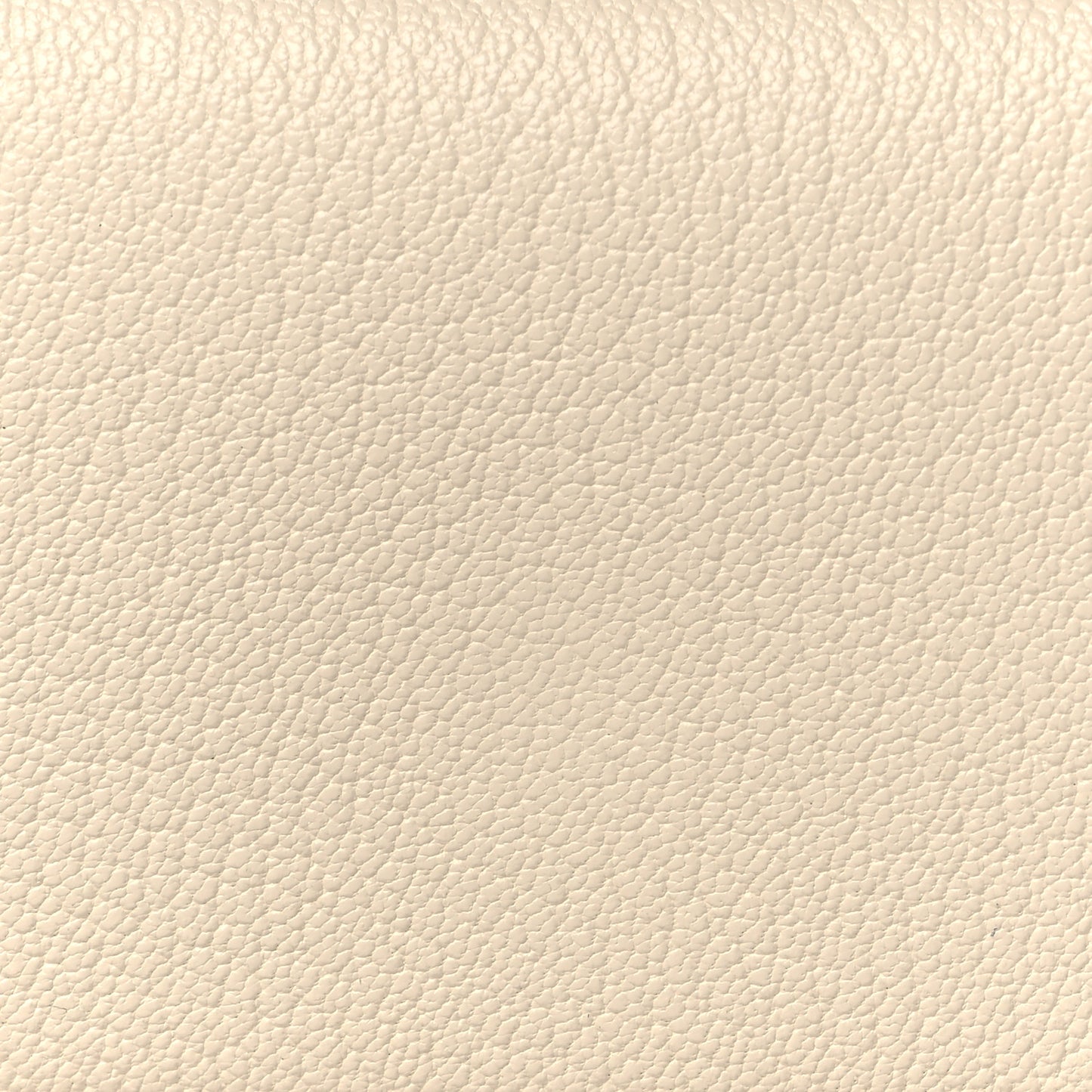Chevre Mysore Verso Calvi Card Case Nata Biscuit