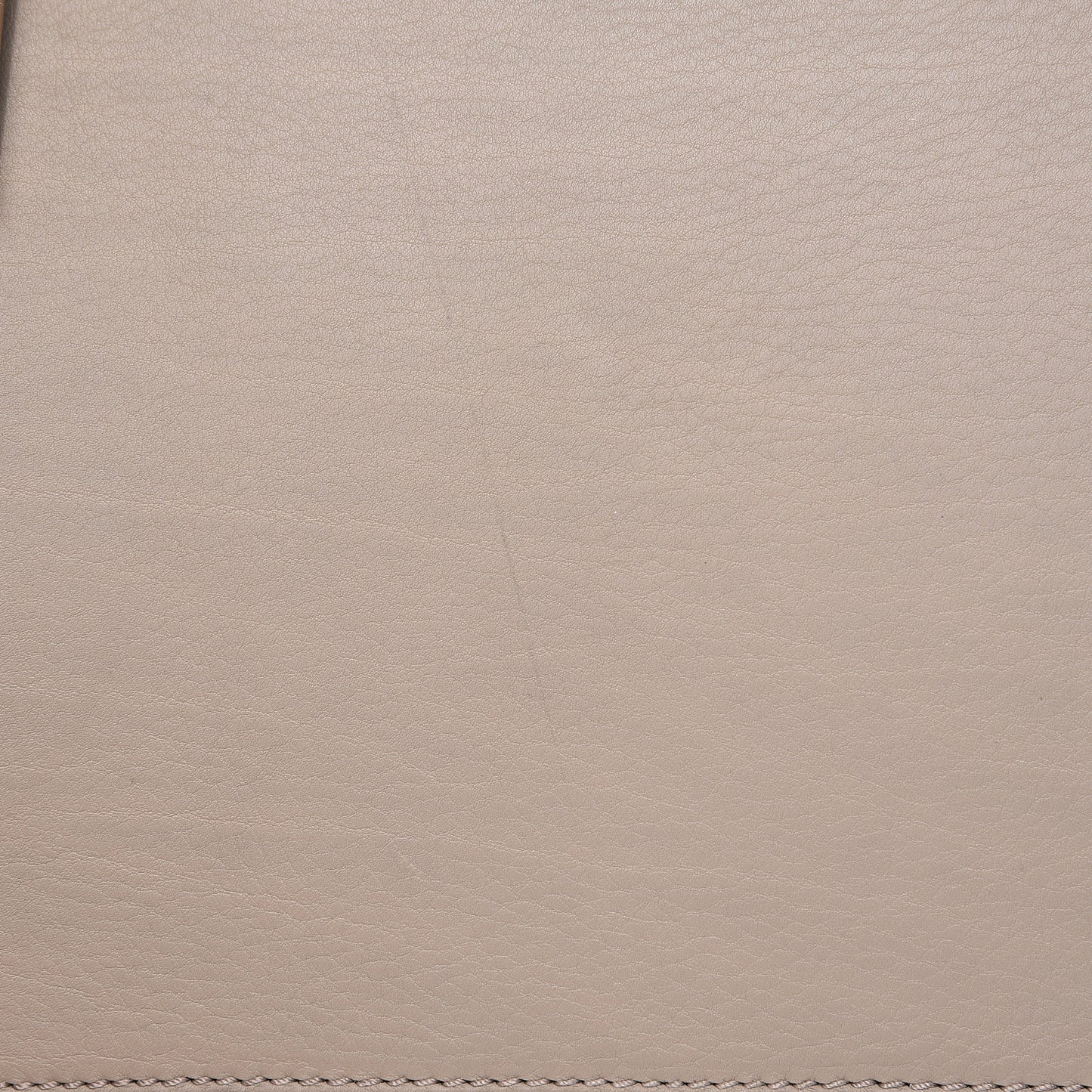 Supple Calfskin Medium Phantom Luggage Beige
