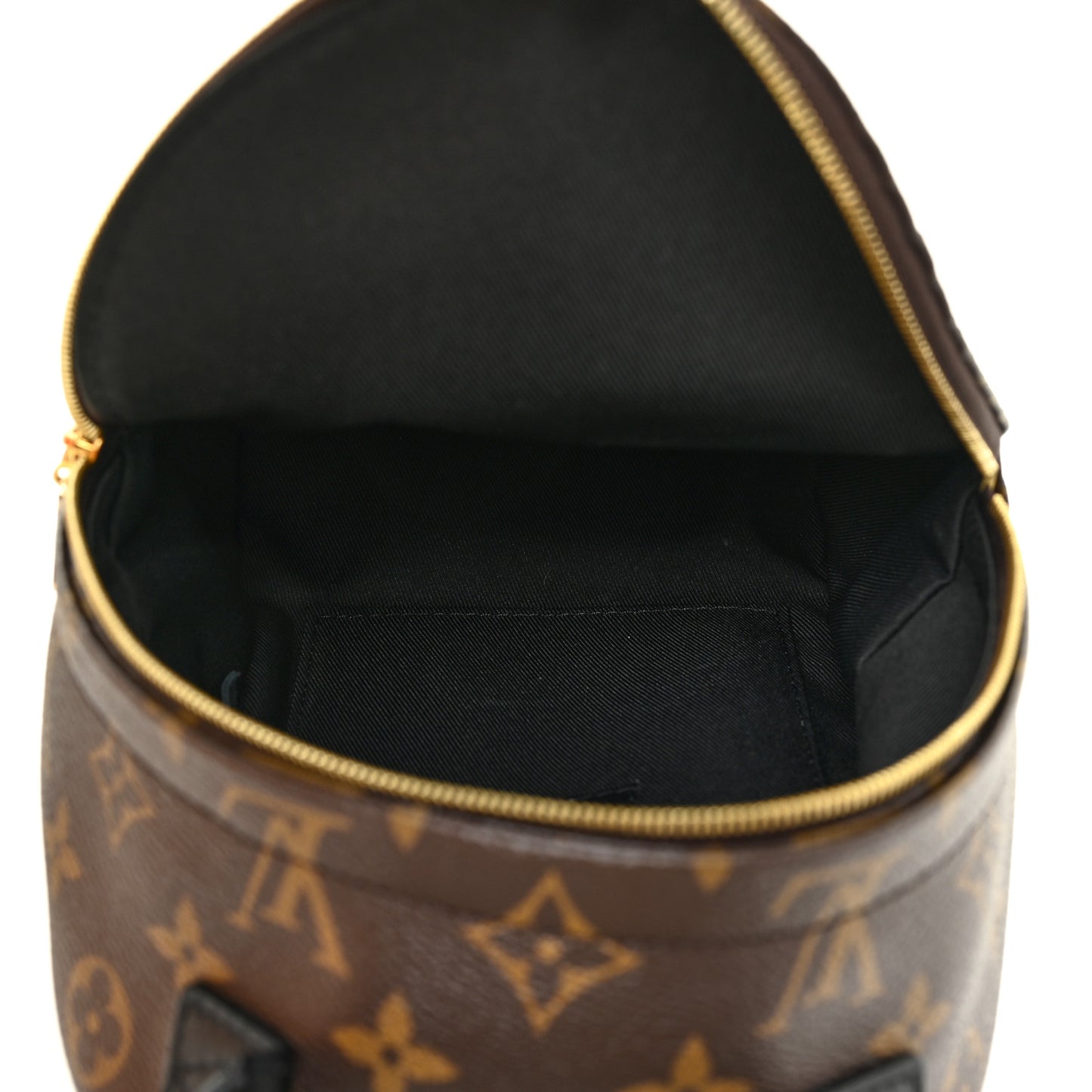 Monogram Palm Springs Backpack Mini
