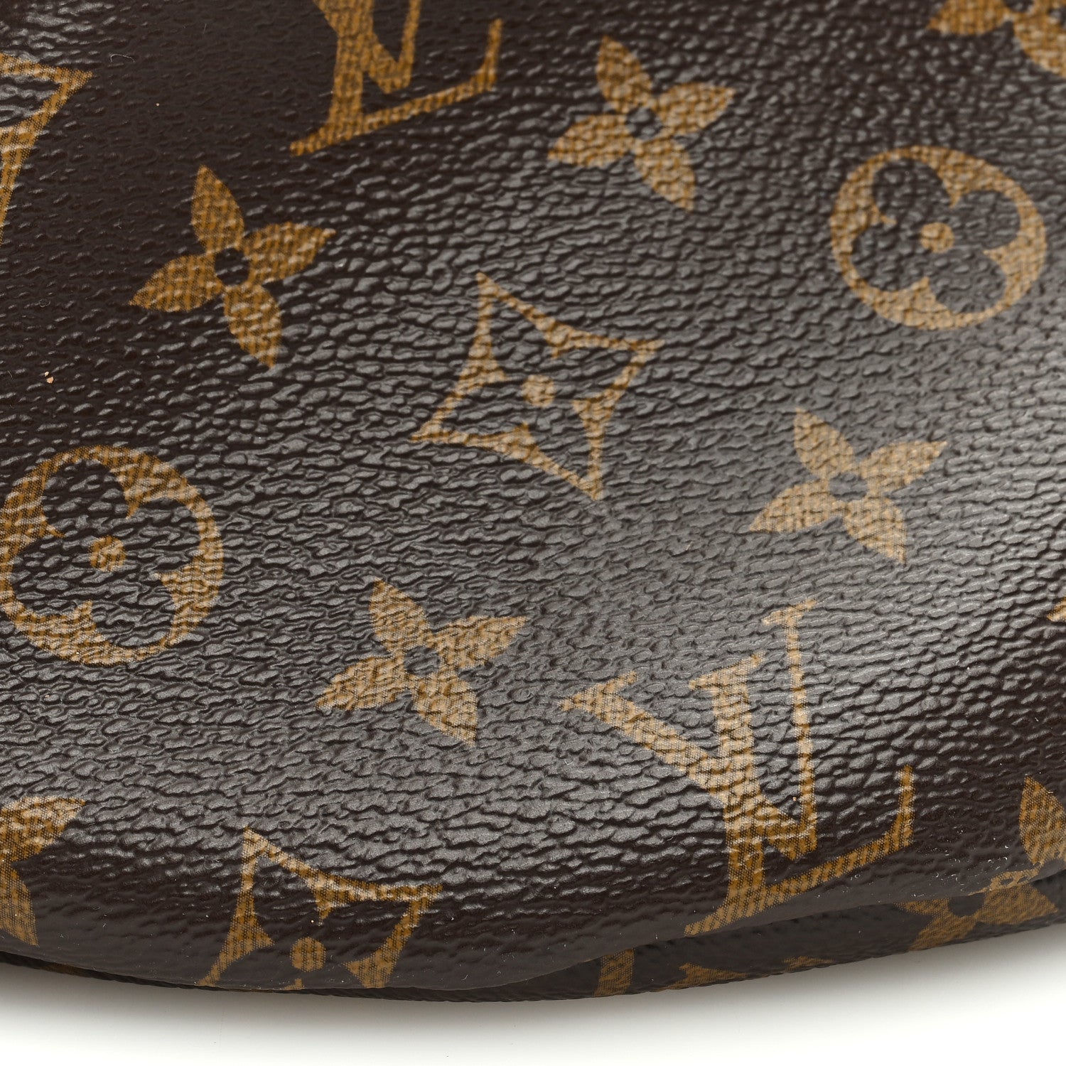 Louis Vuitton Monogram Bumbag 7 of 11