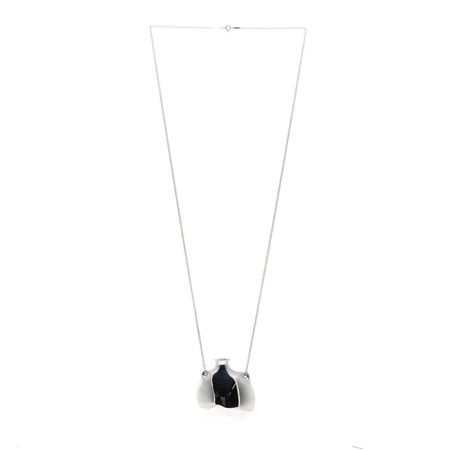 Tiffany Sterling Silver Extra Large Elsa Peretti Bottle Pendant Necklace 3 of 4