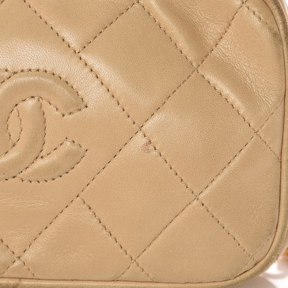 Chanel Lambskin Quilted Tassel Camera Case Beige 14 of 21