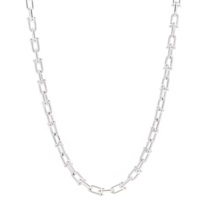 Tiffany Sterling Silver Small HardWear Link Necklace 1 of 4