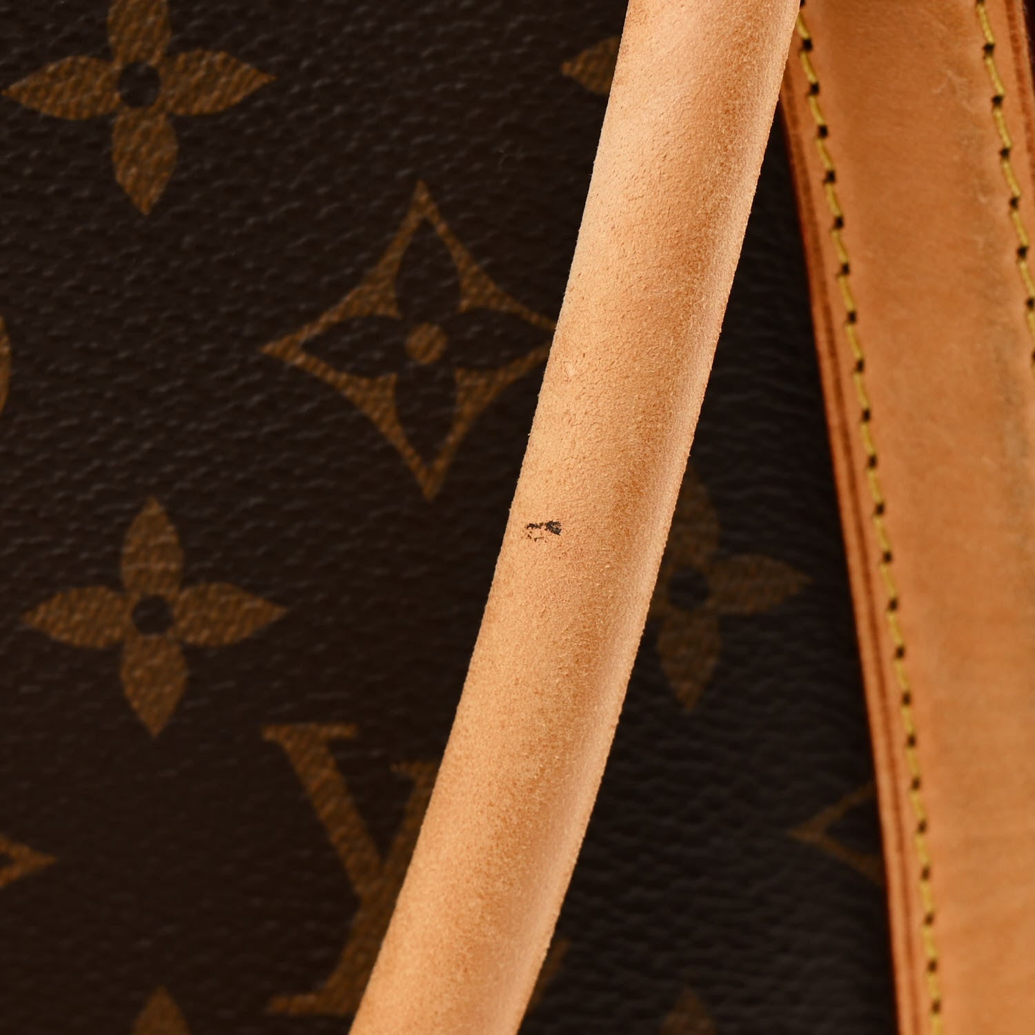 Louis Vuitton Monogram Marais MM 13 of 14