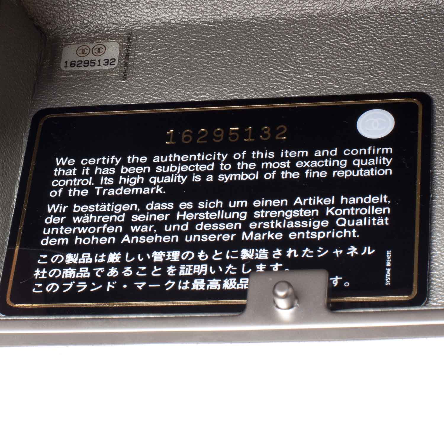 Chanel Iridescent Calfskin Evening Wild Clutch 7 of 9