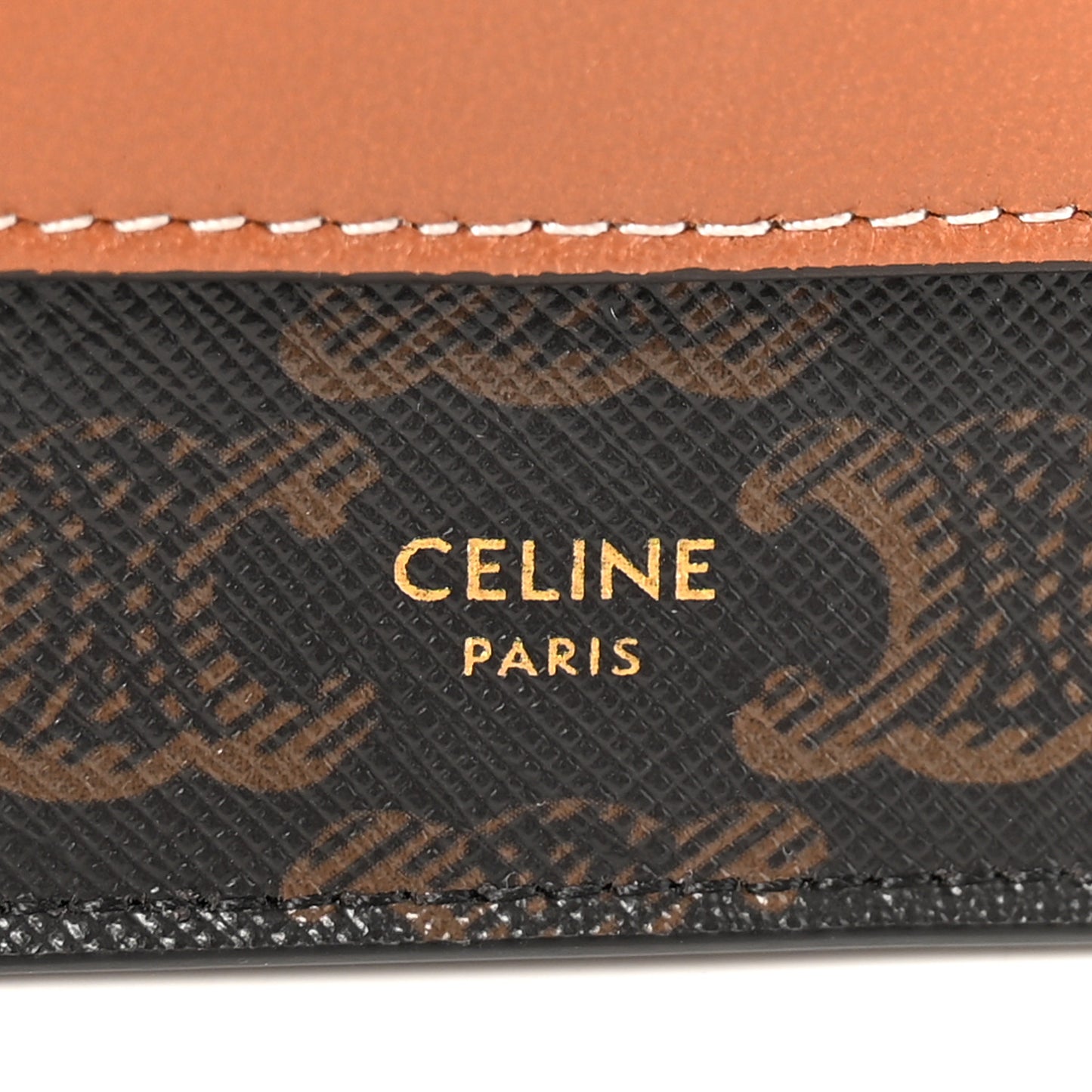 Triomphe Canvas Lambskin Wallet On Strap Tan
