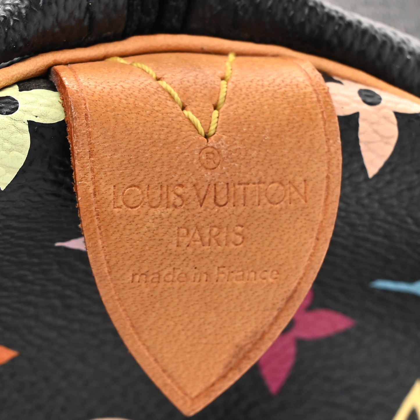 Monogram Multicolor Speedy 30 Black
